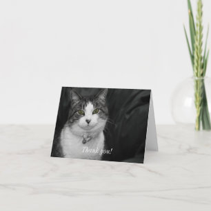 Carte De Remerciements Oser regarder dans mes yeux verts