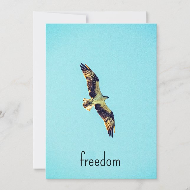 Carte De Remerciements Osprey (Devant)