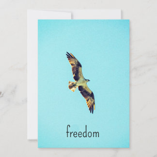 Carte De Remerciements Osprey