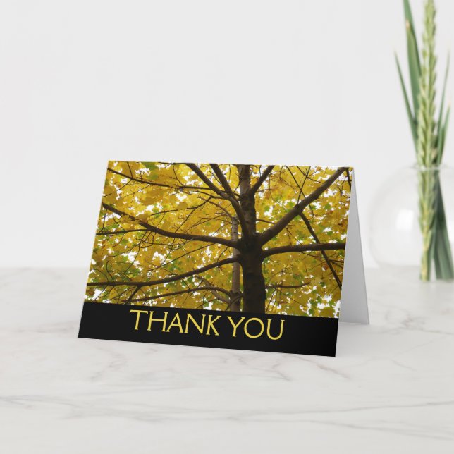 Carte De Remerciements Paire d'érables jaunes Nature d'automne (Devant)