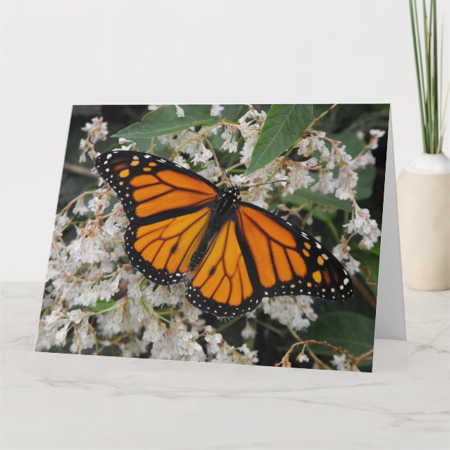 Carte De Remerciements Papillon Monarque ou Milkweed (Devant)