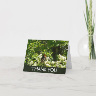 Carte De Remerciements Papillon Soeur de Californie à Yosemite