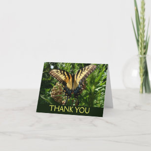 Carte De Remerciements Papillon Swallowtail III Belle Photo Colorée