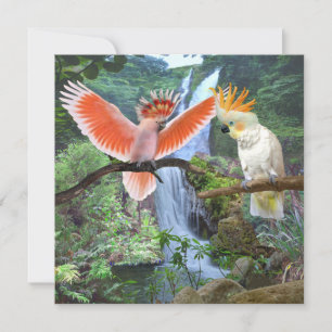 CARTE DE REMERCIEMENTS PARCOURS DE COCKATOO AU PARADIS