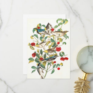 Carte De Remerciements Paruline par John James Audubon