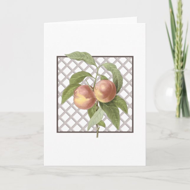 CARTE DE REMERCIEMENTS PÊCHES (Devant)