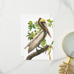 Carte De Remerciements Pélican Brown par John James Audubon