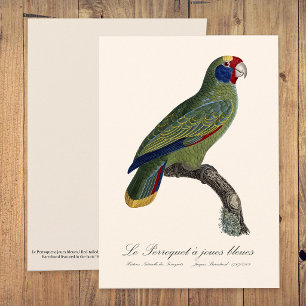 Carte De Remerciements Perroquet joues bleues / Amazone à queue rouge