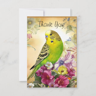 Carte De Remerciements Perruche et Fleur sauvage