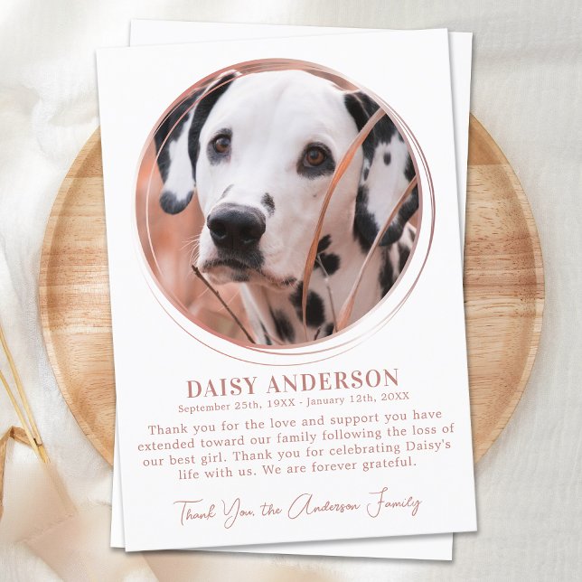 Carte De Remerciements Pet Chien Memorial Rose Gold Personnalisé Photo Sy (Créateur téléchargé)
