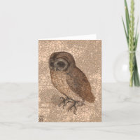 Petit hibou, points d'infini par après Albrecht Du