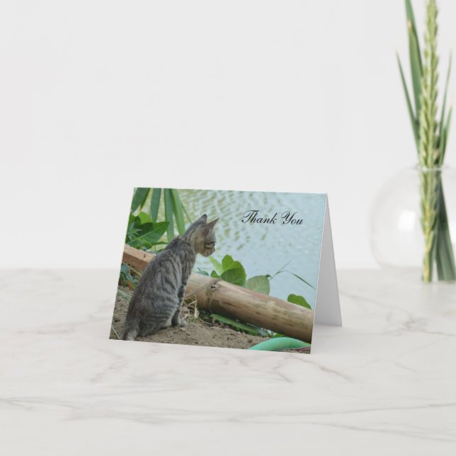 Carte de remerciements - Petit Kitten au bord de l (Devant)