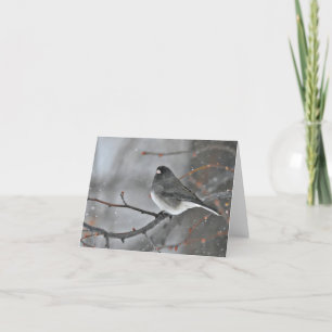Carte De Remerciements Petit oiseau sur une branche dans la neige blanche