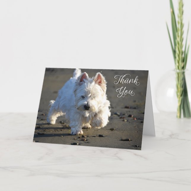 Carte de remerciements photo Beach Westie (Devant)