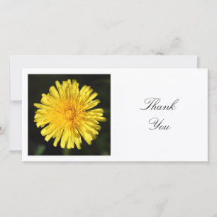 Carte De Remerciements Photo carré - Dandelion