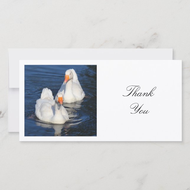 Carte De Remerciements Photo carré - Emden Geese (Devant)