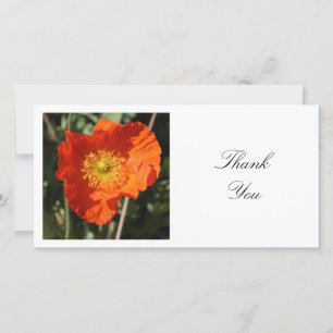 Carte De Remerciements Photo carré - Poppy gallois