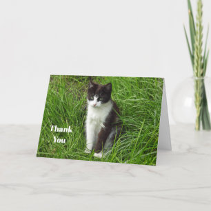 Carte De Remerciements Photo chat noir et blanc de chaton