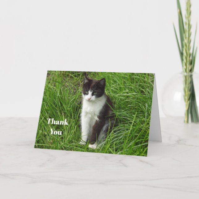 Carte De Remerciements Photo chat noir et blanc de chaton (Devant)