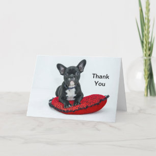 Carte De Remerciements Photo Coussin noir Bulldog en français