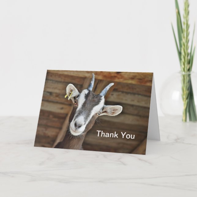 Carte De Remerciements Photo Cute Brown et White Goat (Devant)