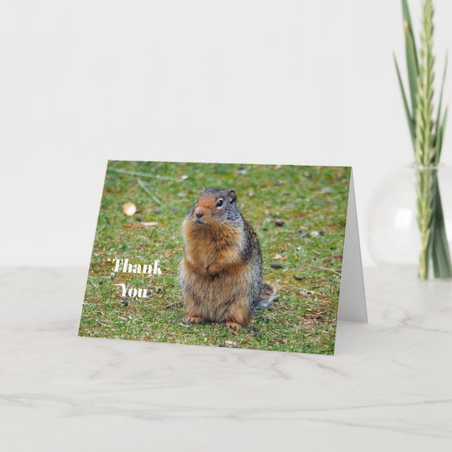 Carte De Remerciements Photo de mammifères de chiens des Prairies (Devant)