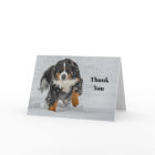 Photo de neige du chien de montagne bernois