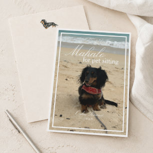 Carte De Remerciements Photo de teckel Mahalo pour la garde d'animaux