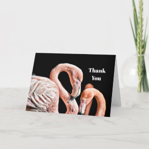 Carte De Remerciements Photo Flamant rose Rose Faune