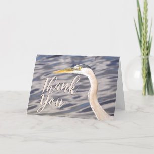 Carte de remerciements photo Great Blue Heron