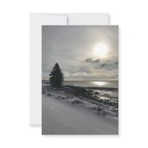 Photo Larsmont Minnesota Lac Supérieur