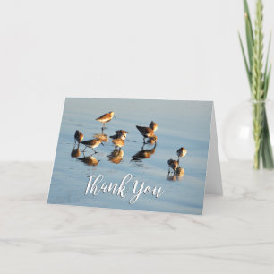 Carte de remerciements photo Sandpipers