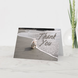 Carte de remerciements photo Westie Beachcombing