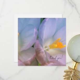Carte De Remerciements Photographie de crocus de printemps