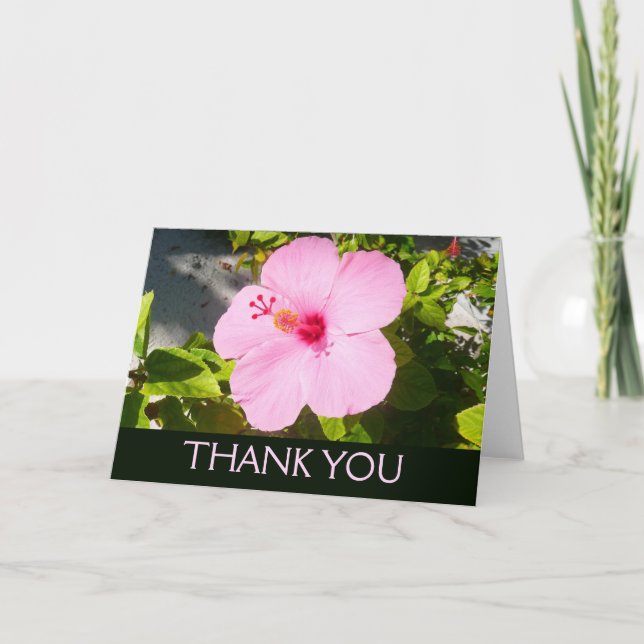 Carte De Remerciements Pink Hibiscus Tropical Flower (Devant)