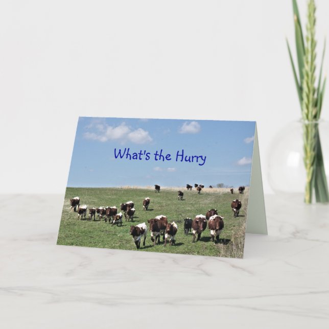 Carte De Remerciements Pinzgauer Cattle Herd 8372 -customisez toute occas (Devant)
