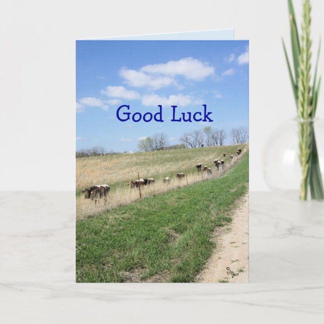 Carte De Remerciements Pinzgauers 8360 Good Luck-change pour toute occasi (Devant)