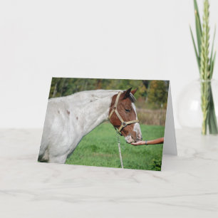 Carte De Remerciements Pitalité du cheval
