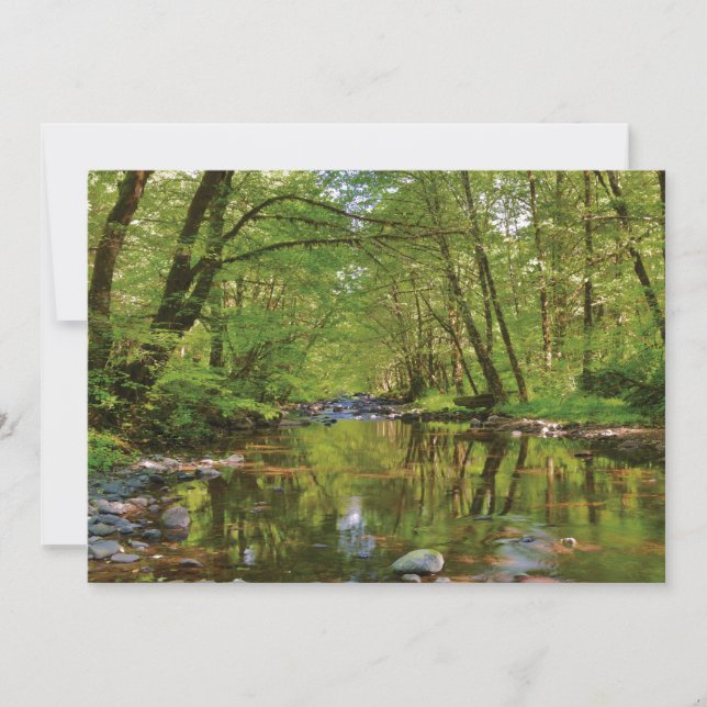 Carte De Remerciements Pittoresque de la rivière Wilson (Devant)