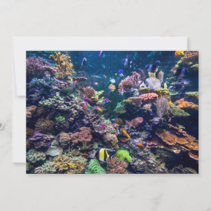 Carte De Remerciements Plages tropicales   Corail sous-marin Reef