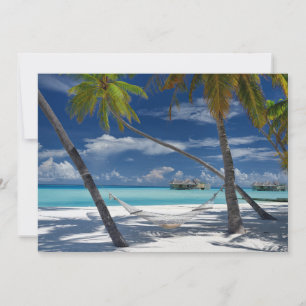 Carte De Remerciements Plages tropicales Sandy Beach, Maldives