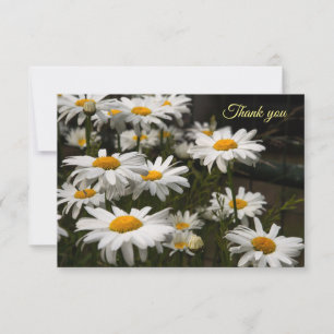 Carte de remerciements plat Daisy d'été