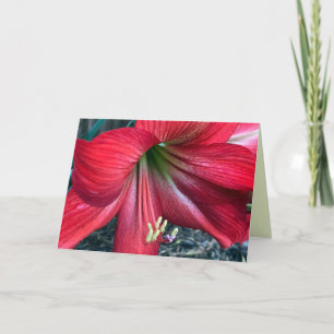 Carte de remerciements pliée