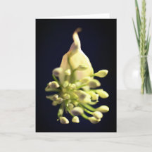 Carte de remerciements pliée à impression florale