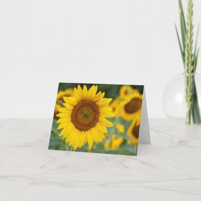Carte de remerciements pliée de tournesol (Devant)