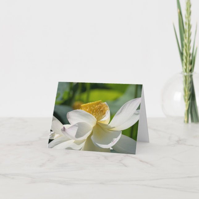Carte de remerciements pliée en lotus blanc (Devant)