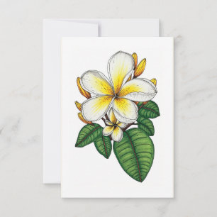Carte De Remerciements Plumeria jaune et blanche Hawaiian