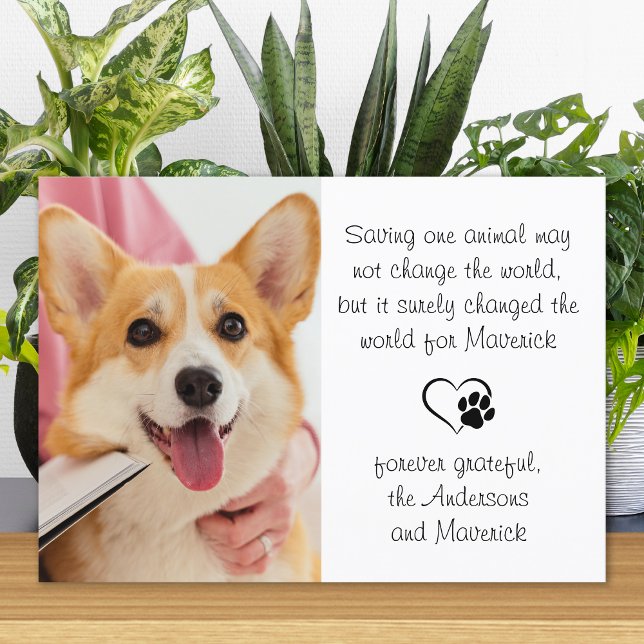 Carte De Remerciements Poème Vétérinaire Personnalisé Vet Dog Animaux de  (Créateur téléchargé)