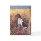 Pointeur allemand à cheveux courts