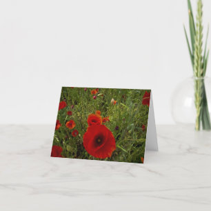 Carte De Remerciements Poppies